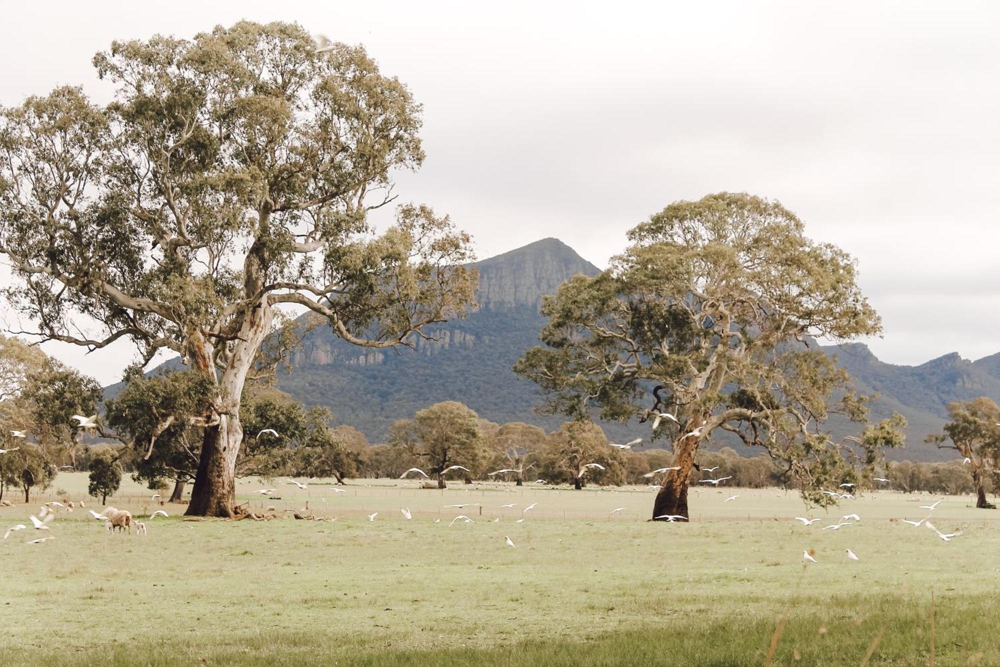 Holiday home House - Beautiful Country